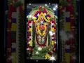 Lagu Sri Venkateswara Suprabhatam #venkateswaraswamy #suprabhatam #govinda #tirupati #ttd #templescorner