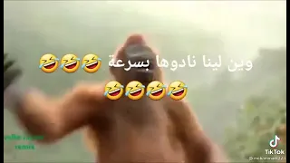 هههههههههه اسمع اسمع لينا لينا لينا 