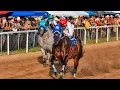Horse Racing in Santa Ana July 26 2026