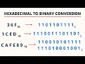 Hexadecimal to Binary Conversion PingPoint