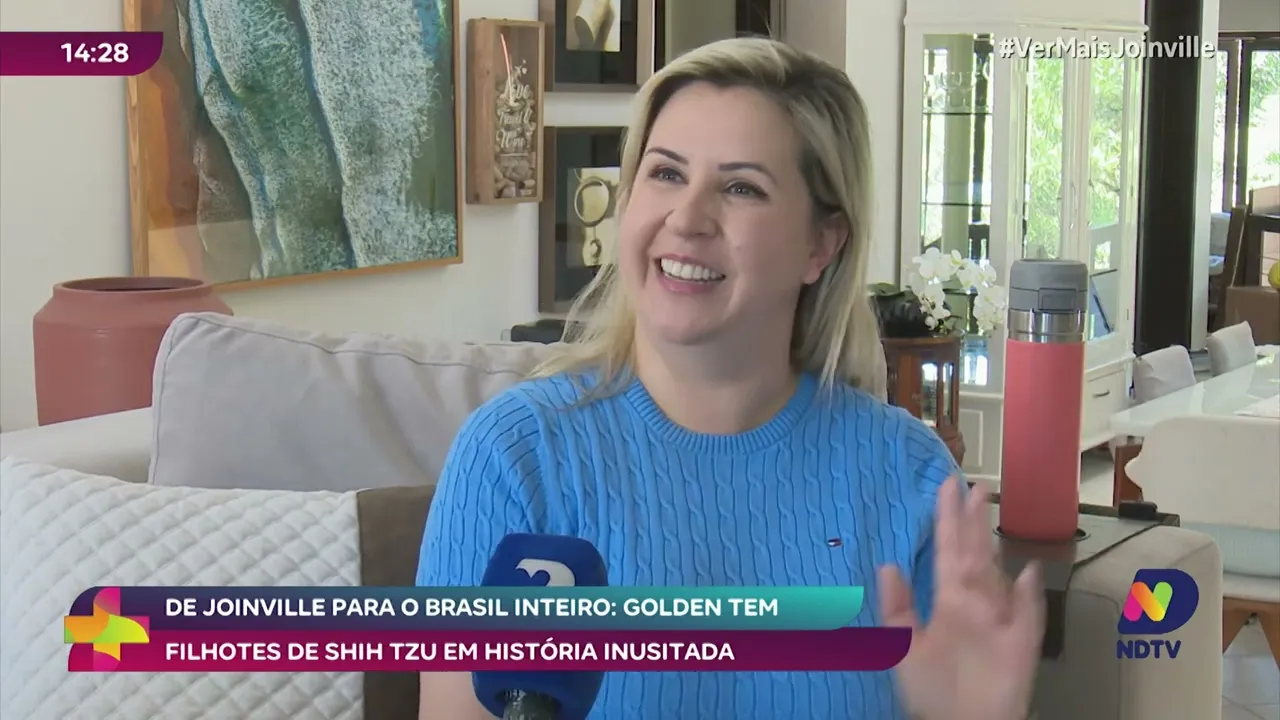 De Joinville para o Brasil: filhotes de Golden com Shih Tzu encantam em história inusitada