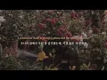 가장 사랑했던 너에게🌹 𝐇𝐚𝐫𝐫𝐲 𝐒𝐭𝐲𝐥𝐞𝐬 - 𝐋𝐨𝐯𝐞 𝐎𝐟 𝐌𝐲 𝐋𝐢𝐟𝐞 (가사/번역)