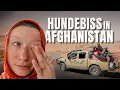 TALIBAN HELFEN uns nach HUNDEBISS in Afghanistan 🇦🇫 | RADWELTREISE | [3/3]