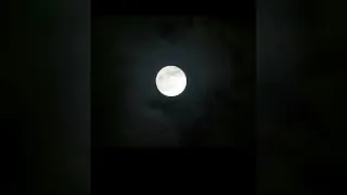 اغنيه البدر كطلعته  نغمة البدر كتطلعته  نغمة للهاتف دندنها