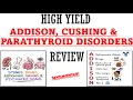 Addison Cushing Parathyroid Disorders Review Mnemonics Ways To Memorize For Your Exam
