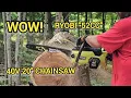 New Ryobi 40v edge 20 chainsaw tested tortured compared and reviewed