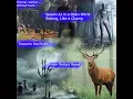 Unity PlayMaker Tutorial AI Spawn