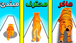 كيف يتحول القط الى نمر في دقائق   دندنها