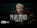 Download Lagu Peregrino (Clipe Oficial) | Peregrino - Alessandro Vilas Boas Ft. Brunna Villas Boas | Som do Reino