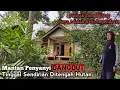 Download Lagu Rumah Janda Mantan Artis Dangdut Yang Tinggal Sendirian Di Tengah Hutan Tidak Ada Tetangga