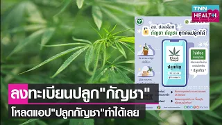 สามารถนำกัญชาที่ปลูกเองมาทำอาหารได้หรือไม่ และต้องปฏิบัติตามเงื่อนไขอย่างไรบ้าง