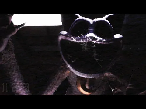 Video Thumbnail: RESTRICTED_conditioning_1990