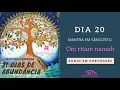 Download Lagu 21 DIAS DE ABUNDANCIA   DEEPAK CHOPRA   DIA 20   EM PORTUGUES