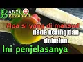 Download Lagu Penjelasan nada dobelan dan nada kering lovebird serta setingan rawatanya