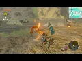 Zelda Tears of the Kingdom Switch 2 Lookout Area SW Sage Temple Ruins Ancient Tree Stump