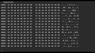 Tutorial Java Mutual SSL TLS Demo with a server and a client application