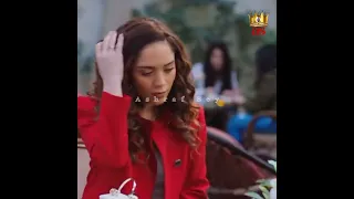 حب افلاطوني ممزج بالشعر ترند 