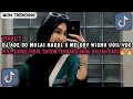 Lagu DJ ADE SO MULAI NAKAL X MELODY WISNU UGIL VOC YOGA FRIZELLO VIRAL TIKTOK