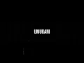 Yassin Indistizo - UMUGANI - Lyrics Video