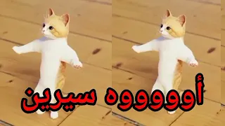 اغنية باسم سيرين اغنية عيد ميلاد سيرين اول تعليق سطلانة السعودية قطر العراق الجزائر دبي مسقط 