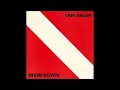 VAN HALEN “DIVER DOWN” LP 1982 vinyl full album