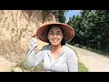 Download Lagu Bawain Nenek Tetangga Pare Sebelum Berangkat Ke Ladang