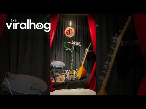 Self-Playing Instruments Perform a Tune || ViralHog