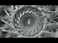 Kevin de Vries - Dance With Me (Kölsch Remix)
