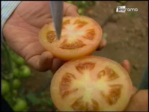 Ecuador Agropecuario 02-02-2018