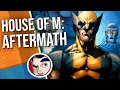 House Of M - Aftermath Wandavision Inspiration