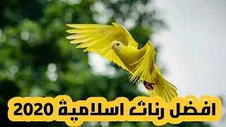 اجمل رنات اسلامية        افضل نغمات موبايل   نغمة رنين هاتف اسلامية   اناشيد دينية                  دندنها