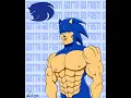 SONIC THE FREAKHOG