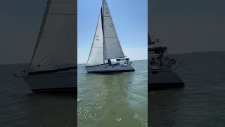 Peanut Regatta 34 #shorts