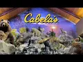 Cabelas AMAZING NATURE DISPLAY