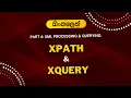 XML Processing DOM Parser XPath XQuery FLWOR Explained Sinhala Part 04