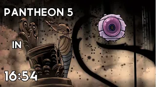 Hollow Knight Speedrun - Pantheon 5 in 16 54 World Record