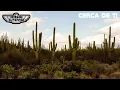 Hermanos Gutiérrez - Cerca De Ti