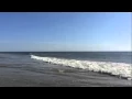 July 10 Surf Report