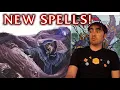 Dunamancy is INSANE Explorer s Guide to Wildemount Review Part 3 Spells