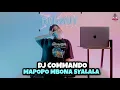 Download Lagu DJ MAPOPO MBONA WAMESHA SYALALA || VIRAL TIKTOK COMANDO (DJ IMUT REMIX)