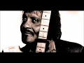 Albert Collins & The Icebreakers Live at McNeil Dining Room, Troy, NY - 1981 (audio only)