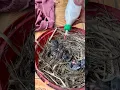 Download Lagu MASIH YAKIN MAU LOLOH EMPRIT DENGAN BUBUR INI?? #burung #pengendalipiit