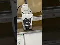 Download Lagu 3d printed Bbu Lab A1 cat thinking cover #3dprinting #bambulab #cat #fyp #3d