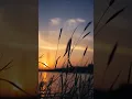 Download Lagu #refrán A buen entendedor, pocas palabras... #feed #shorts #frases #refranes