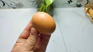 القاطو الي هبل ضيافي وعجبهم كامل وحبيت نقلكم حاجة🥺🥺🥺اسمعوني مليح أنا ختكم 