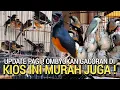Download Lagu DAPAT REZEKI ! NEMU KIOS BURUNG OMBYOKAN GACORAN MURAH PASAR BURUNG PRAMUKA LEWAT DULU YA