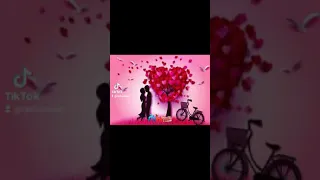 اغاني عمر كمال وحسن شاكوش 2 