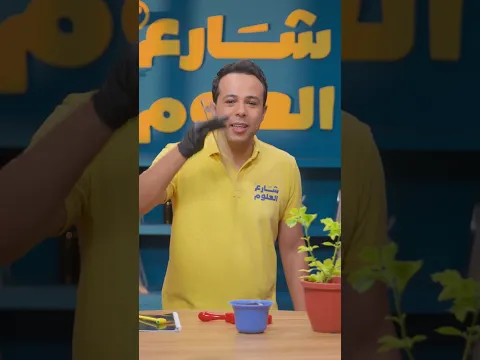إزاي بنقيس طول النبات؟ 🌱 | كيف تنمو النباتات - علوم رابعة ابتدائي