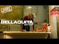 Download Lagu Dalex - Bellaquita ft. Lenny Tavárez (Video Oficial)