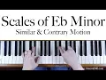 E Flat Minor Scales similar and contrary motion